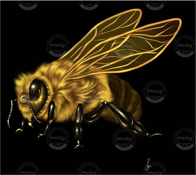 Bee
