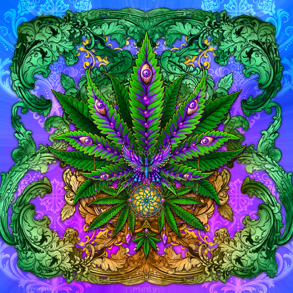 Cannabis or Marihuana leaves with dreamcatcher and butterfly