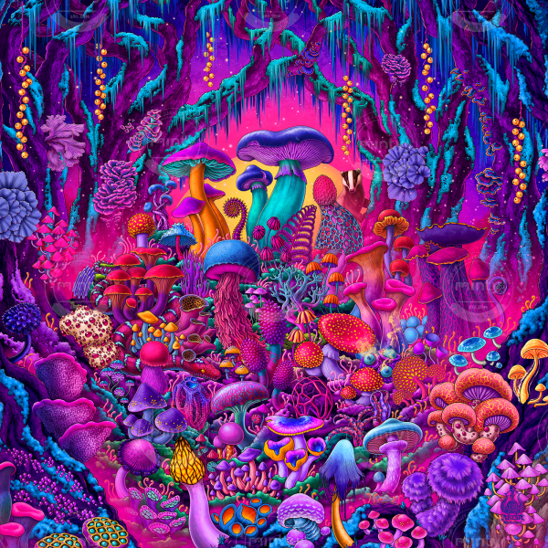 Colorful Forest of Magic Mushrooms