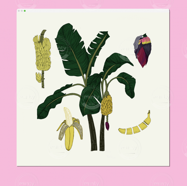 Captura de pantalla 2023-11-22 a las 10.29.48