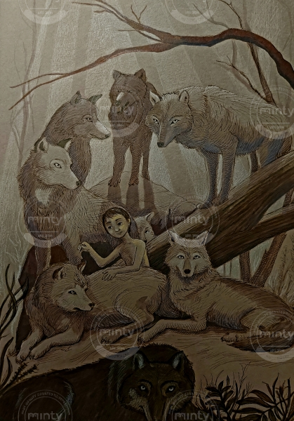 Mowgli is picking thorns from the fur of his family of wolves