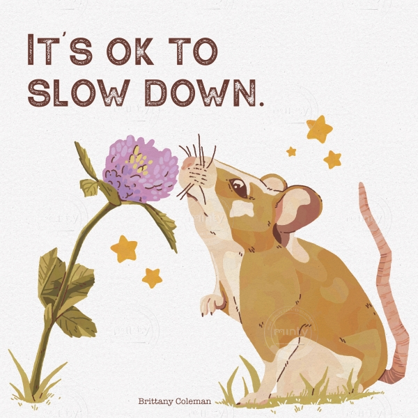 It's_Ok_To_Slow_Down