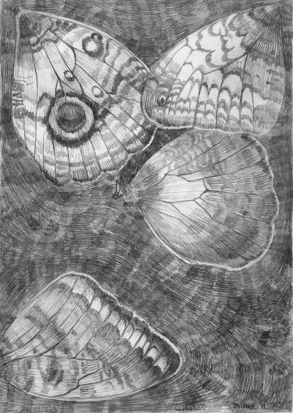 asas a lápis mais escuro