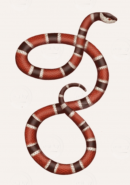 Snake 2