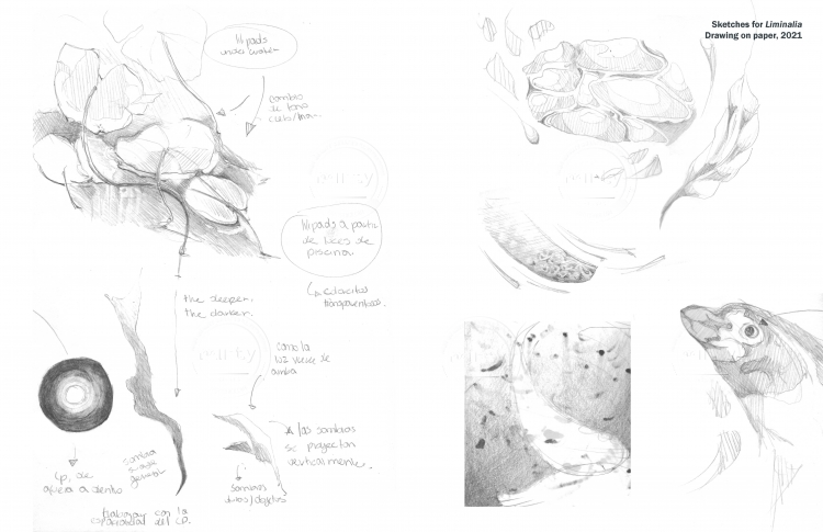 JulianaOsuna_IllustrationPortfolio20248