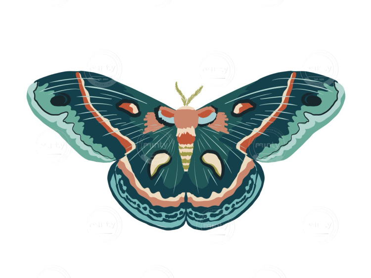 photo_5_2024-10-07_22-12-37