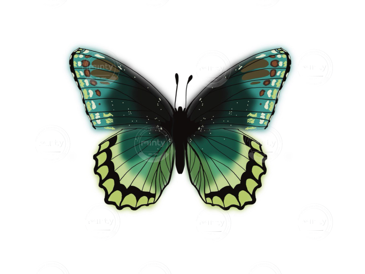 photo_9_2024-10-07_22-12-37