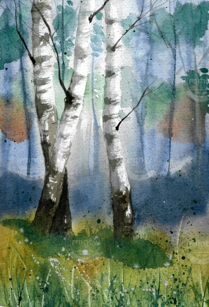 Watercolor Birches