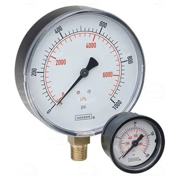 100 Series ABS & Steel Case Dry Pressure Gauges