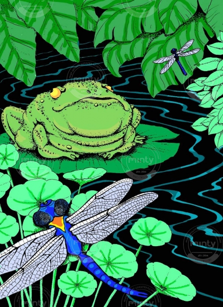 Frogdream1color:cover - C.light