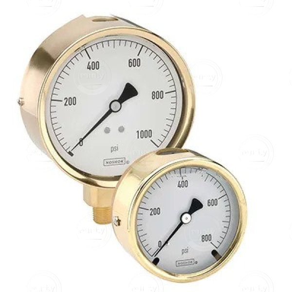 300 Series Brass Case Liquid Filled Pressure Gauges