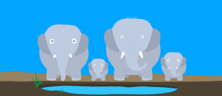 C-_Users_Rakesh-mohan_Desktop_ILVERMORNYICUBE_HealthInsurance