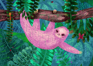 sloth-rainforest