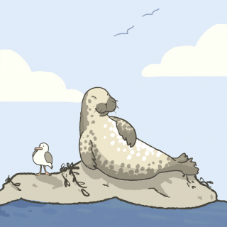 Seal monk gif loop with seal on a rock with seagull on sunny clear sky background