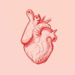 Heart beating morphing from anatomical heart to instagram like heart.gif