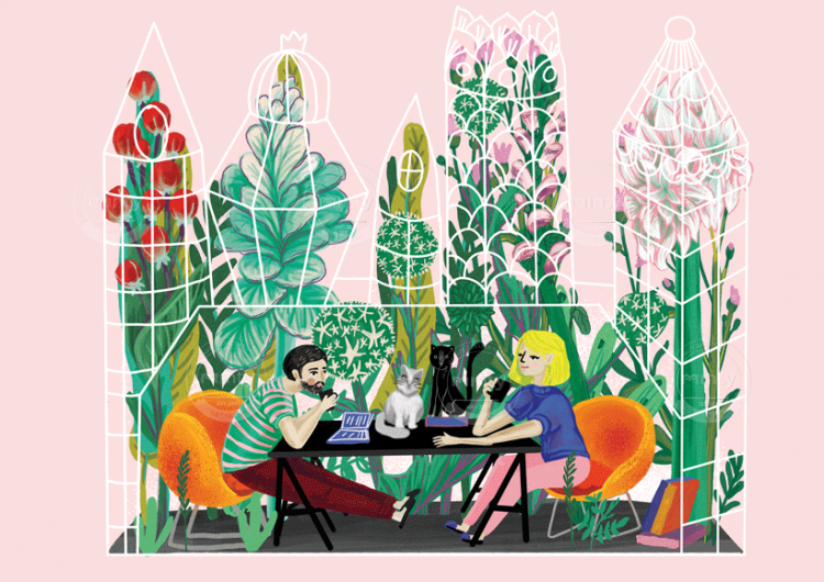 In the garden
