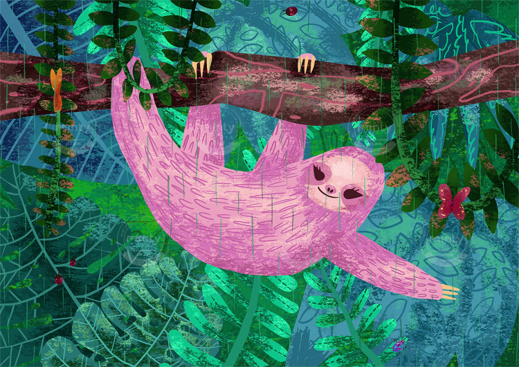 sloth-rainforest