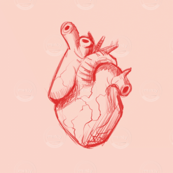 Heart beating morphing from anatomical heart to instagram like heart